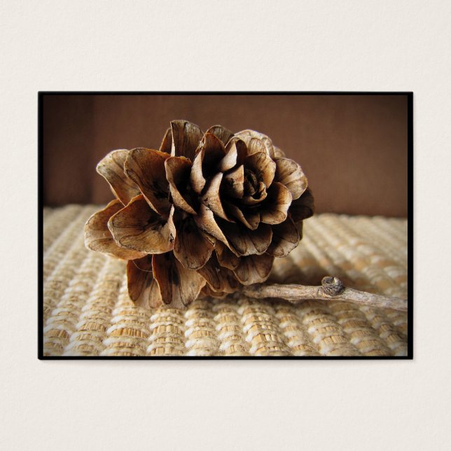 Larch Cone ATC (Vorderseite)