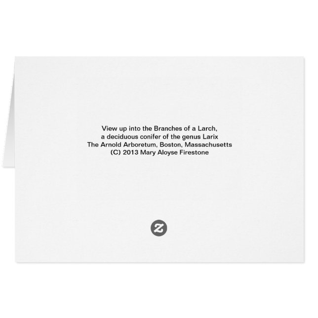 Larche (Dos Horizontal)