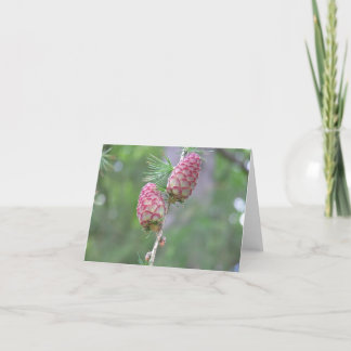 Larchkarte Feiertagskarte