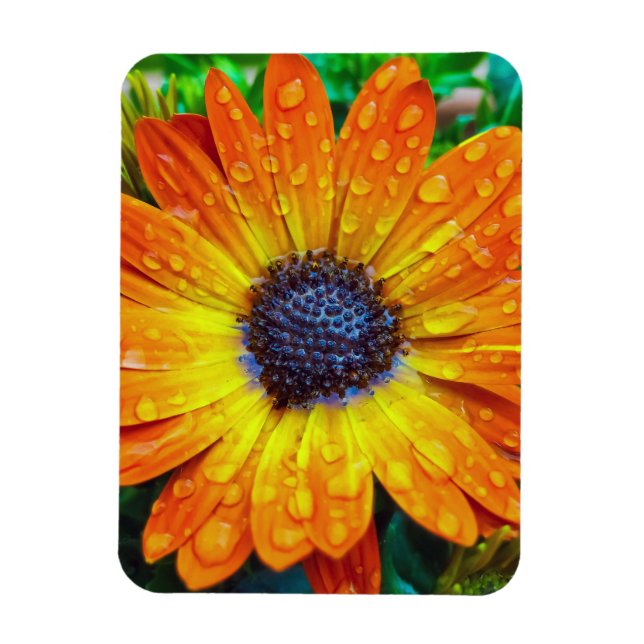 Large Golden Flower Close Up Magnet (Vertikal)