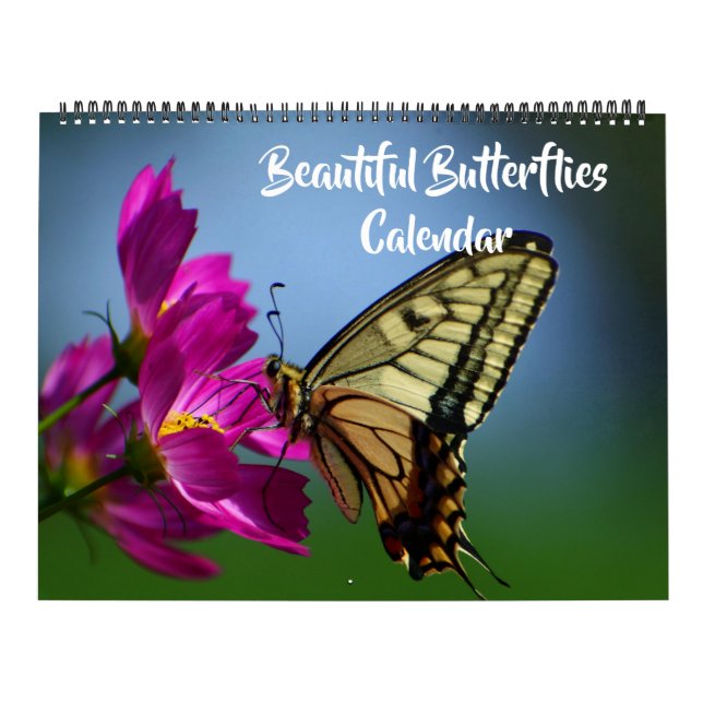Large Size Beautiful Butterflies Calendar Kalender (Titelbild)