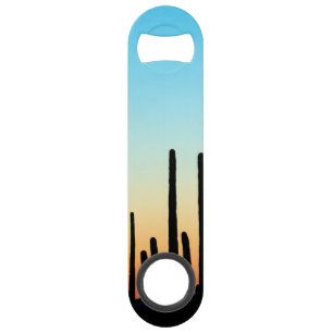 L'Arizona ! Coucher du soleil de Saguaro