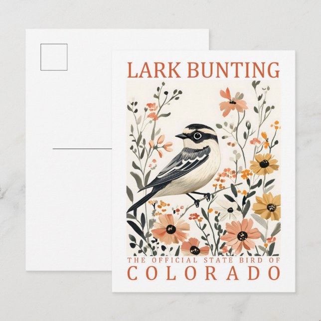 Lark Bunting Bird of Colorado USA Travel Postkarte (Vorne/Hinten)