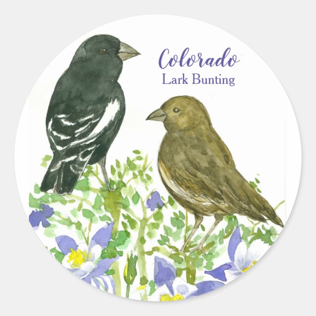 Lark Bunting Birds Colorado Columbine Runder Aufkleber (Vorderseite)