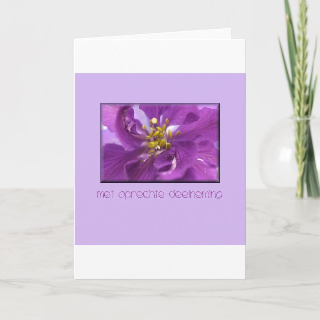 larkspur carte de sympathie hollandaise (Devant)