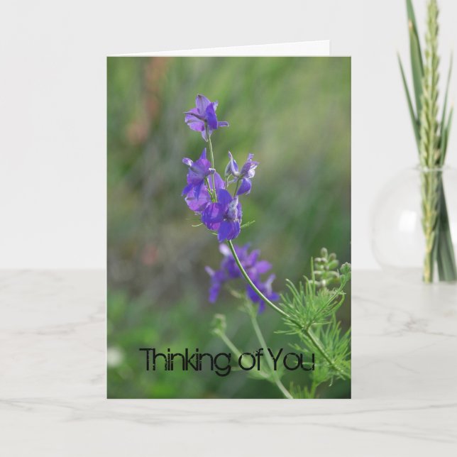 Larkspur Feel Better Karte (Vorderseite)