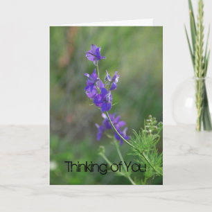 Larkspur Feel Better Karte
