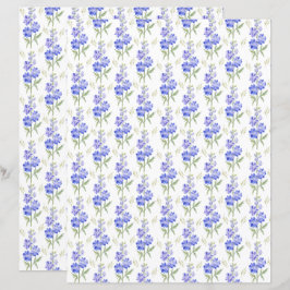 Larkspur Scrapbook Paper