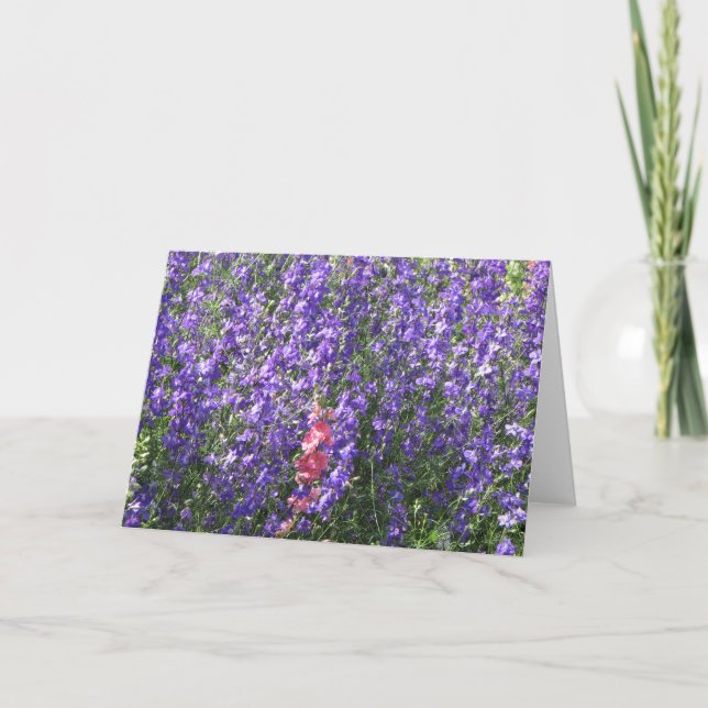 Larkspurs Karte (Vorderseite)