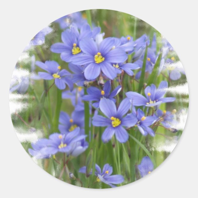 Larkspurs Runder Aufkleber (Vorderseite)