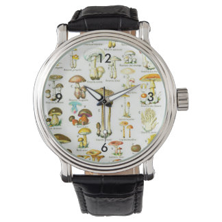 Larousse Mushroom Fungus Natur Malerei Armbanduhr