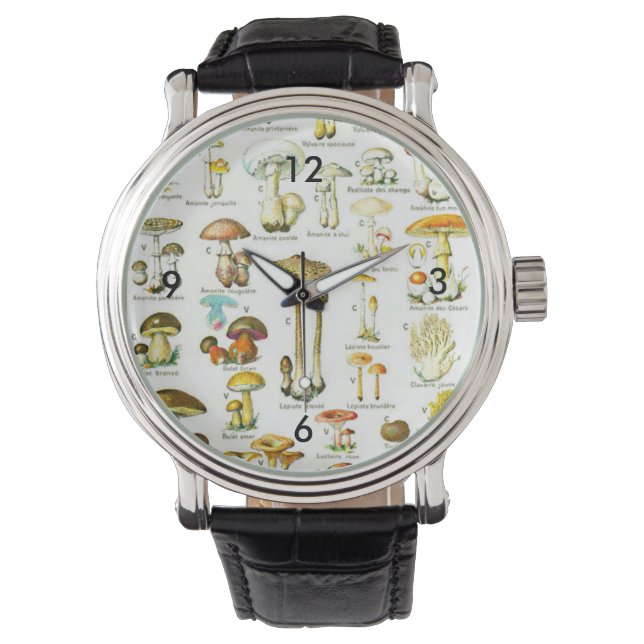 Larousse Mushroom Fungus Natur Malerei Armbanduhr (Vorderseite)