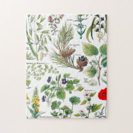 Larousse Pflanzen calmantes, emollientes,