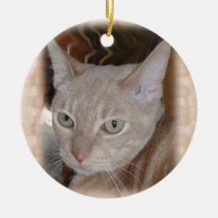 Larry die Katzen-Keramik-Verzierung Keramik Ornament