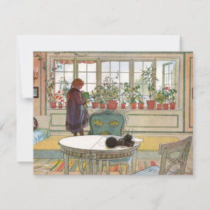 Larsson: Blume auf dem Windows Karte