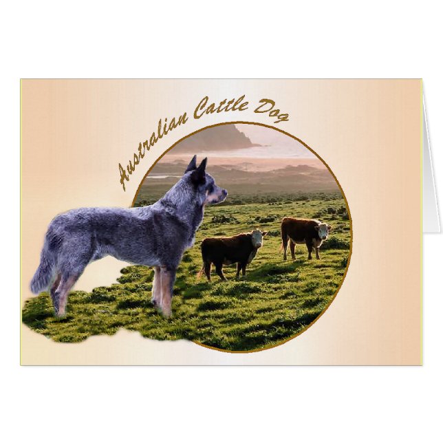 L'art du chien de bétail australien (Devant horizontal)