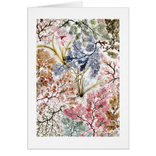 L'art en tissu de soie d'algues