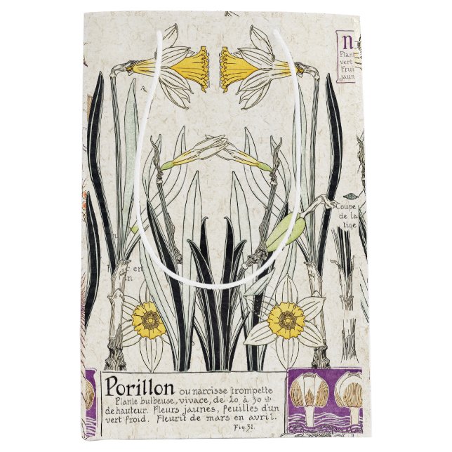 L'art français Nouveau fleurit le sac de cadeau de (Devant)