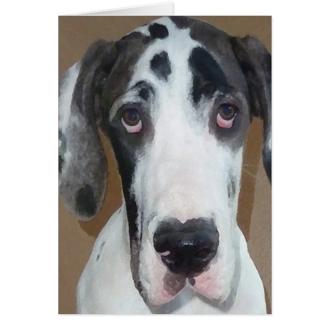 L'artilleur de chiot de great dane maladroit font (Devant)