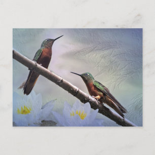 Las Gemas Postcard Postkarte