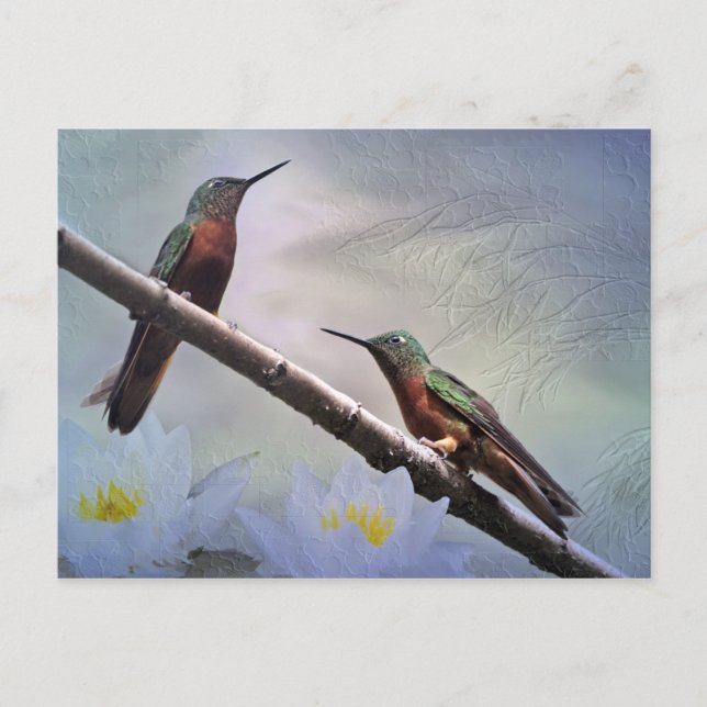 Las Gemas Postcard Postkarte (Vorderseite)