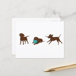 las Schokolade Labrador Cartoon Streifen Postkarte