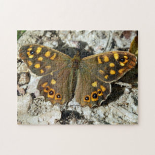 Lasiommata papillon de Westwood Puzzle Photo