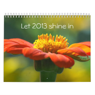 lass 2013 glänzen in kalender