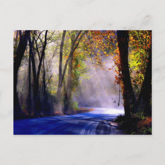 Lass deinen Lichtschacht Postkarte