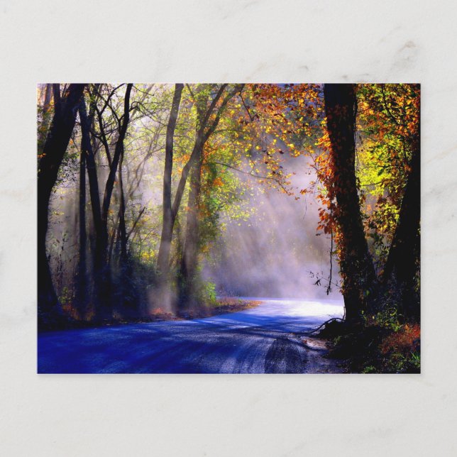 Lass deinen Lichtschacht Postkarte (Vorderseite)