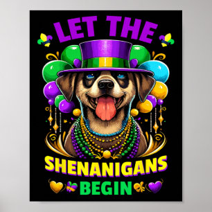 Lass den Shenanigans Begin Mardi Gras Dog Kinder M Poster
