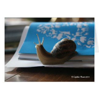 Lass den Sonnenschein!