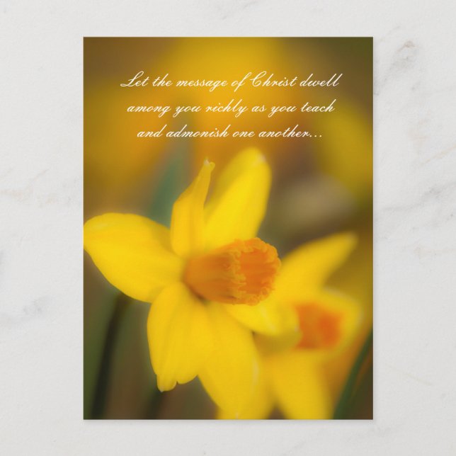 Lass die Botschaft Christi wohnt unter dir reich a Postkarte (Vorderseite)
