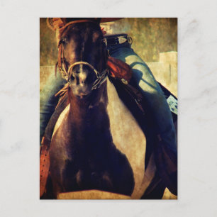 Lass dieses Pinto Pony Run Postkarte