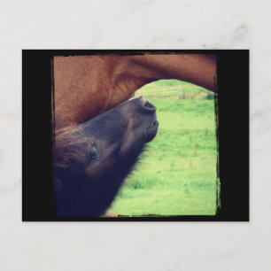 Lass dir ein Geheimnis. Postkarte