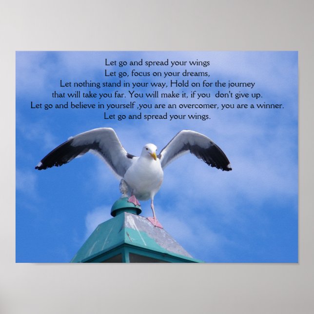 Lass Go_ Poster (Vorne)