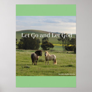 Lass Go und Lass Gottes Pony Ponies Poster