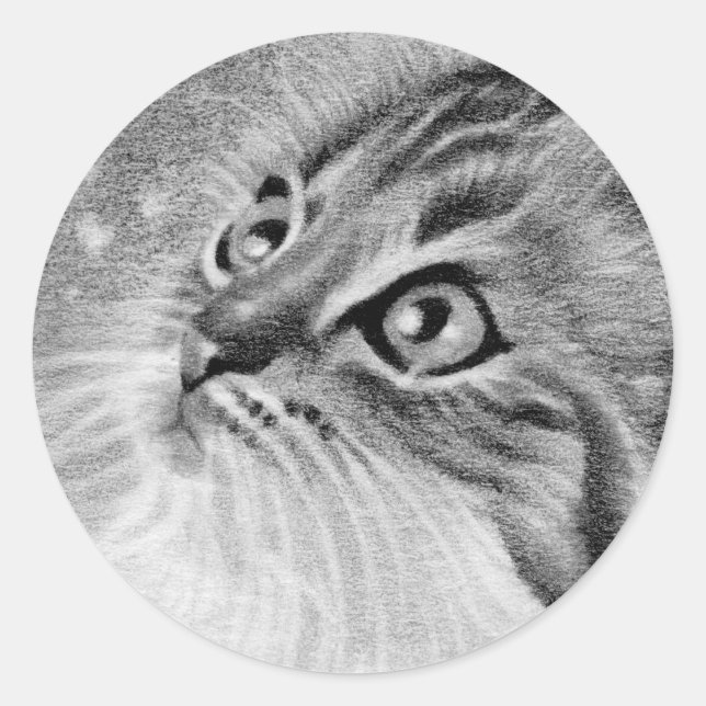 Lass ist Schnee Kitty Cat Runder Aufkleber (Vorderseite)