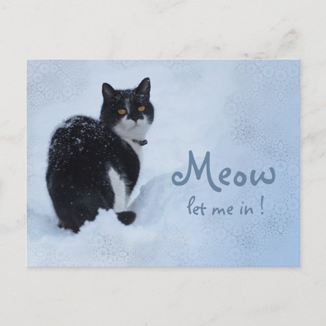 Lass mich rein! CC0826 Cat Gedanken Postkarte (Vorderseite)