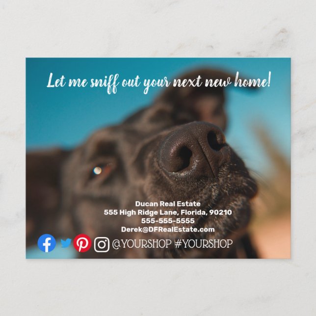 Lass mir beim Ausschnüffeln von echten Anwesen Mar Postkarte (Vorderseite)