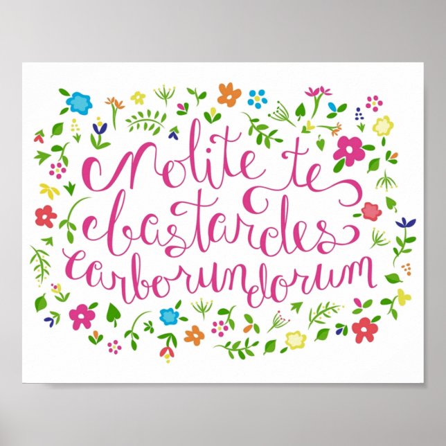 Lass nicht die Bastards, die dir den Regenbogenbod Poster (Vorne)