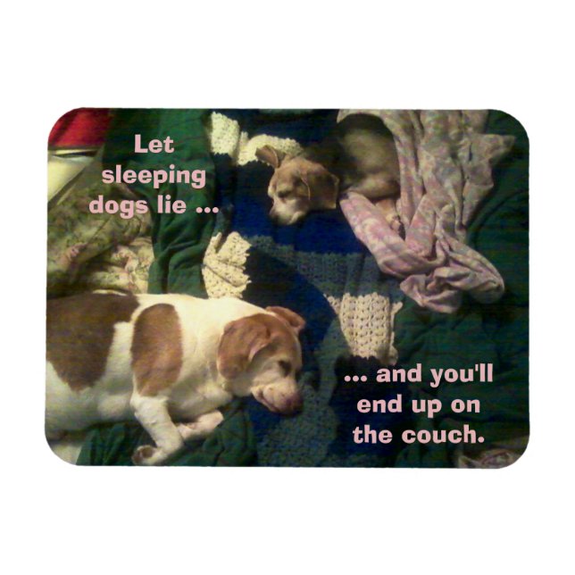 Lass schlafende Hunde Lie / Ende auf Couch 3x4 Mag Magnet (Horizontal)