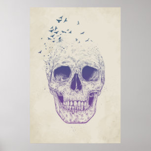 Lass sie fliegen poster