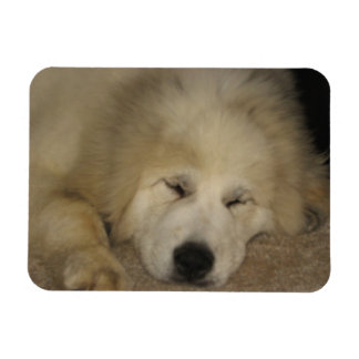 Lass Sleeping Pyrs Lie Magnet