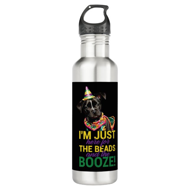 Lass The Good Times Roll - Funny Mardi Gras Hunde Edelstahlflasche (Vorderseite)