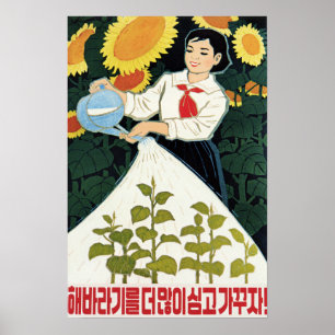 Lasse mehr Sonnenblumen wachsen! Nordkorea Landwir Poster