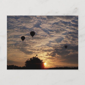 Lasse sie fliegen.... postkarte