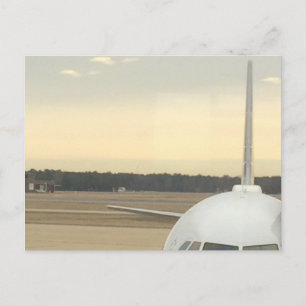 Lasse sie fliegen postkarte