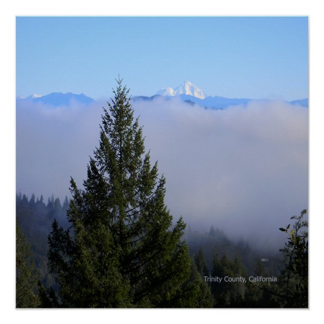 Lassen im Nebel... Poster (Vorderseite)