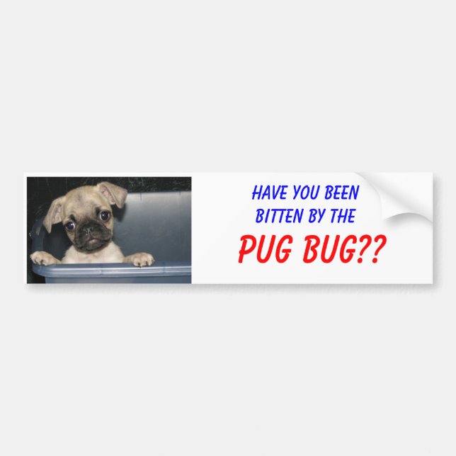 Lassen Sie durch, MOPS-WANZE beenbitten?? Autoaufkleber (Vorne)